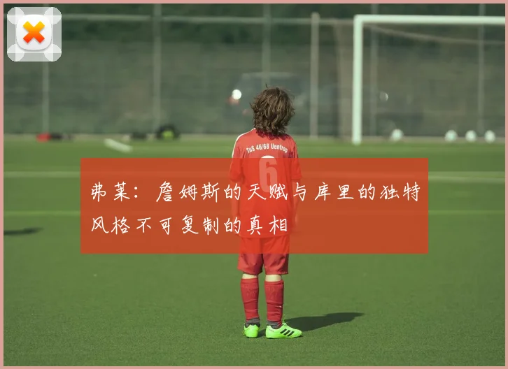 弗莱：詹姆斯的天赋与库里的独特风格不可复制的真相