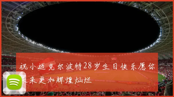 祝小迈克尔波特28岁生日快乐愿你未来更加辉煌灿烂